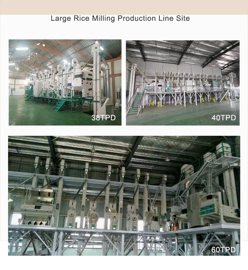 product-800-871 product-800-871